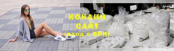 индика Богородск