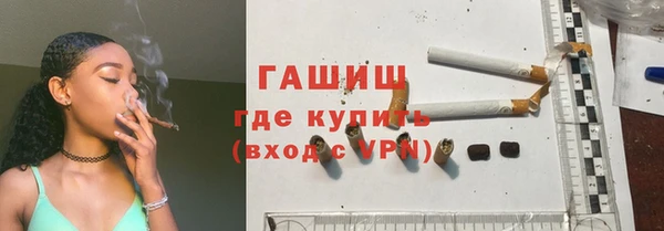 индика Богородск