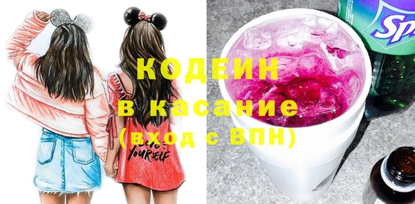 индика Богородск