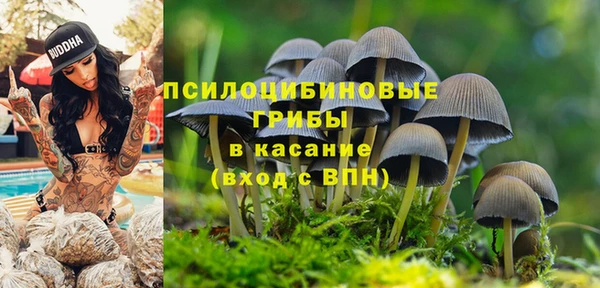 индика Богородск