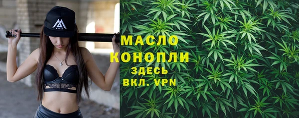 индика Богородск