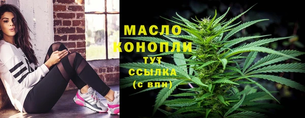 индика Богородск