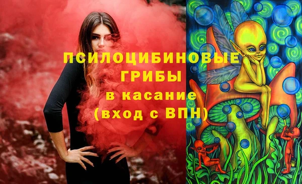 тгк Богородицк