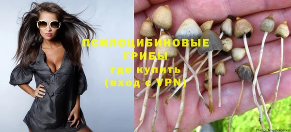 соль ск Богданович
