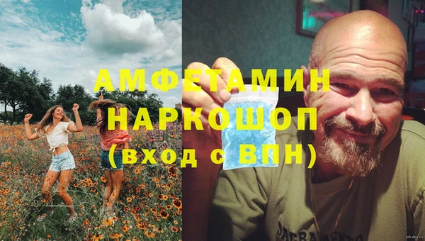 соль ск Богданович