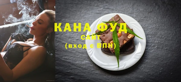 индика Богородск