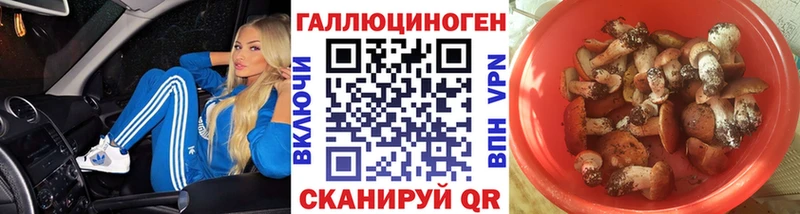 Галлюциногенные грибы Psilocybine cubensis  kraken   Якутск 
